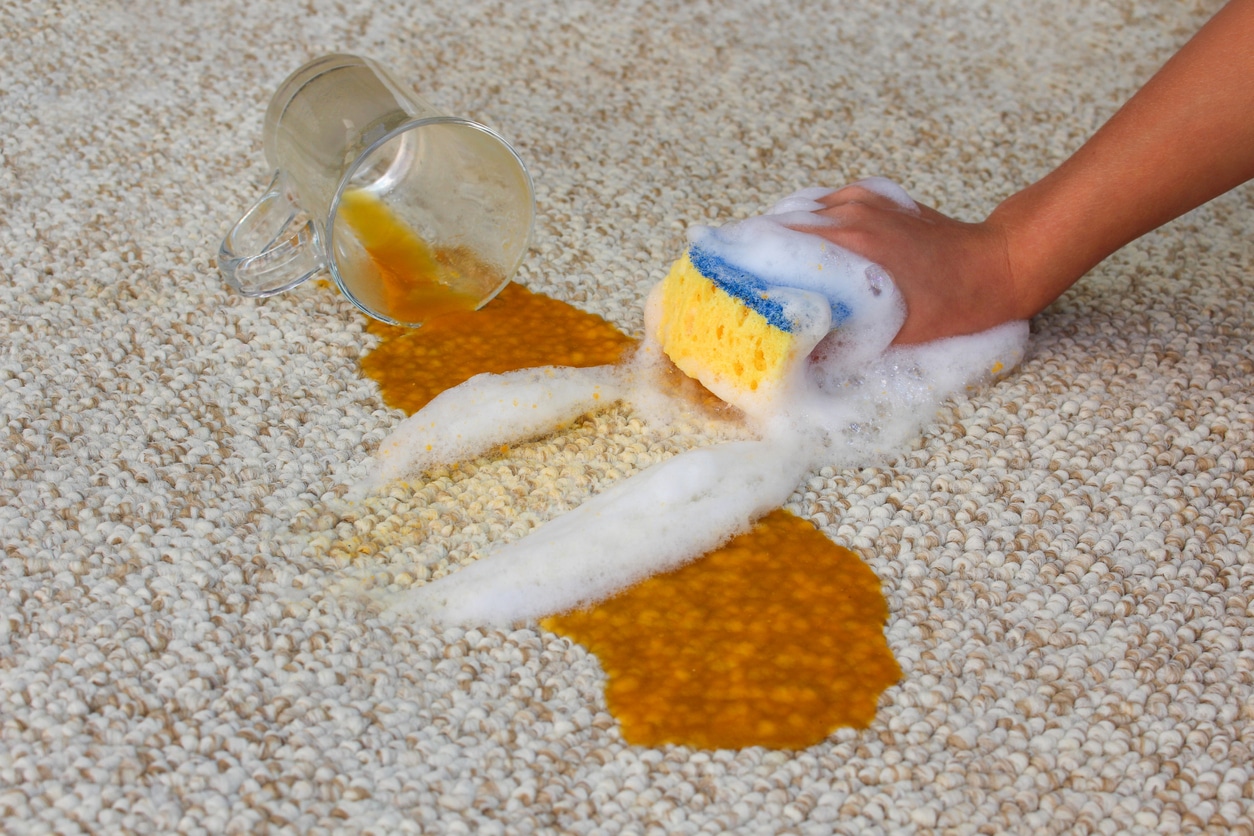 Nettoyant tapis : pour l'entretien de tapis de sol 